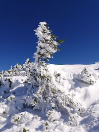 Low angle view of snowcapped mountain against clear blue sky