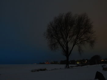 Bare trees on snow landscape against sky at night