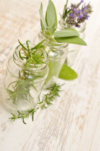 Close-up of plant on table