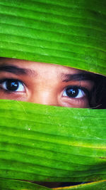 Portrait of a beautiful young woman with green leaf