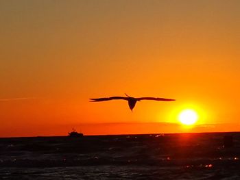 Silhouette bird flying in sky during sunset