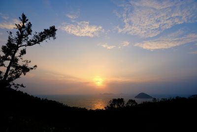 Scenic view of silhouette trees against sky during sunset