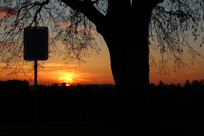 Silhouette trees against sky during sunset