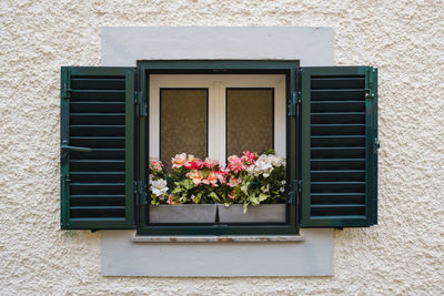 Flower pot on window sill
