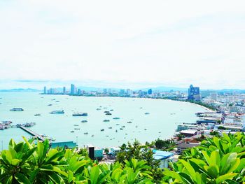 High angle view of boats moored at harbor