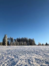 Scenic view of snow field against clear blue sky