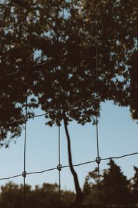 Low angle view of fence against trees