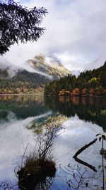 Reflection of trees in lake