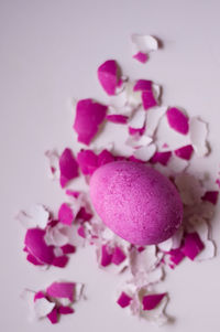 Close-up of pink flowers against white background