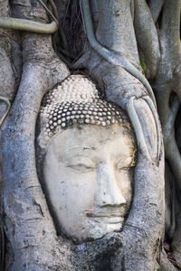 Close-up of buddha statue