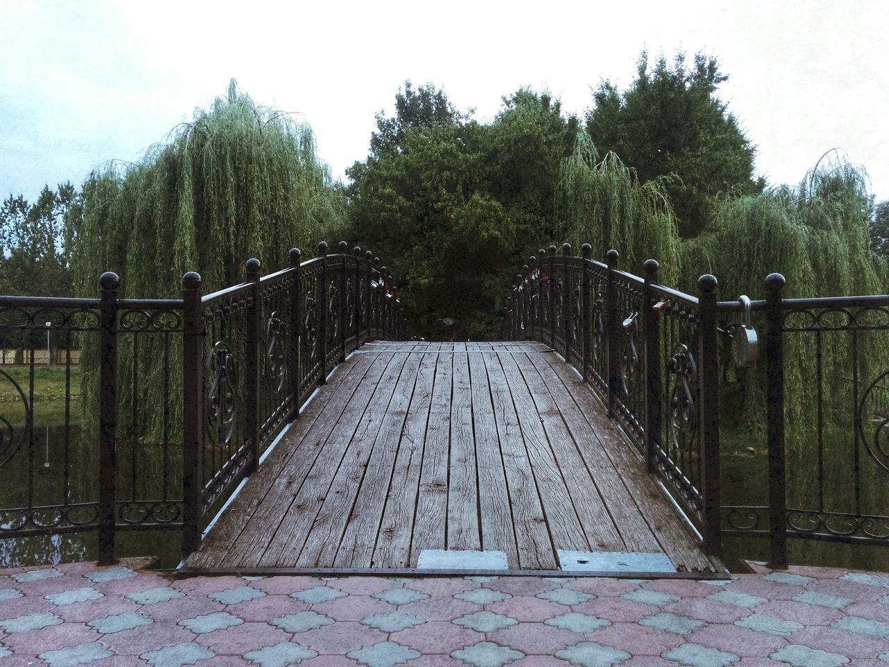 tree, the way forward, railing, diminishing perspective, connection, footbridge, bridge - man made structure, tranquility, growth, green color, vanishing point, nature, built structure, tranquil scene, day, outdoors, forest, sky, architecture, footpath