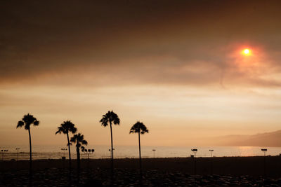 Silhouette palm trees on beach against sky at sunset