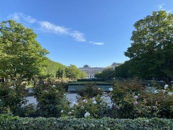 Scenic view of river by trees and building against sky