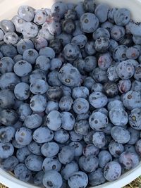 Full frame shot of blueberries