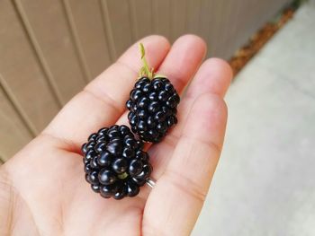 Close-up of hand holding berries