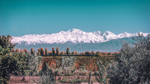 The view to the montains in maipu , argentina