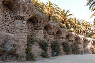 Stone columns and trees in park guell in barcelona, spain