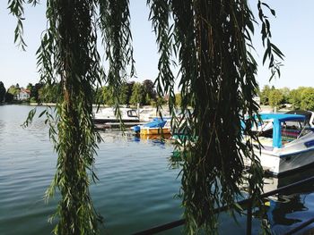 Boats moored at harbor against sky