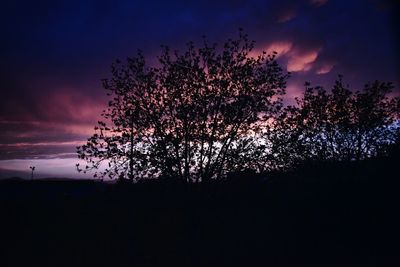 Low angle view of silhouette trees against sky at sunset