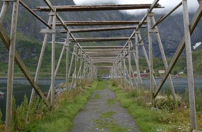 Plants growing in greenhouse against sky