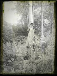 Full length of woman standing on tree trunk