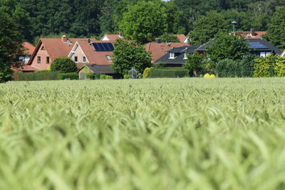 Houses by agricultural field against sky