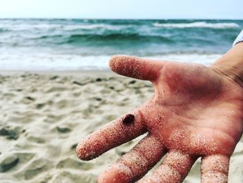 Close-up of ladybug on sandy finger at beach