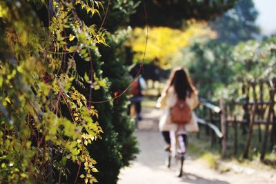 People walking on pathway amidst plants