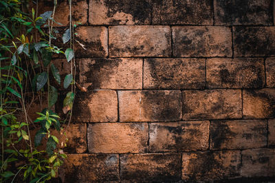 Close-up of stone wall