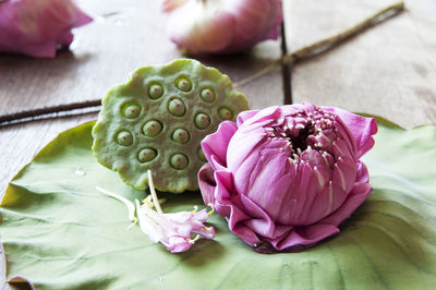 Close-up of lotus with pods on table