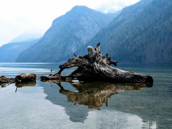 Driftwood on lake by mountains against sky