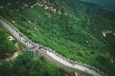 High angle view of people on road amidst trees