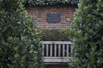 View of stone wall and plants in garden