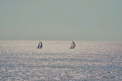 Sailboats sailing on sea against sky