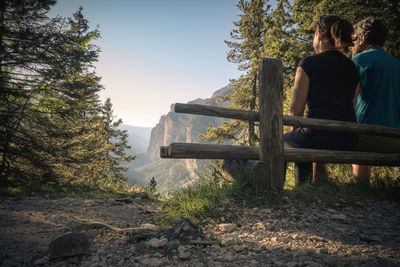 Rear view of woman sitting by trees against clear sky
