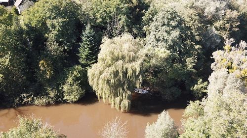 High angle view of river amidst trees in forest