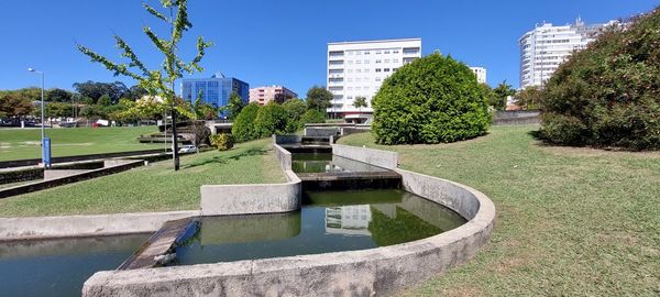 Park by pond in city against clear sky
