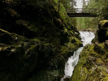 Scenic view of waterfall amidst trees