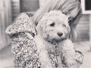 Close-up of dog looking at camera