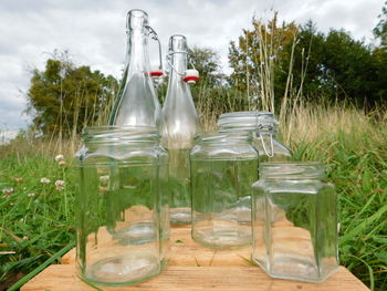 Drinking glass with plants in background