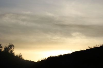 Silhouette trees against sky during sunset