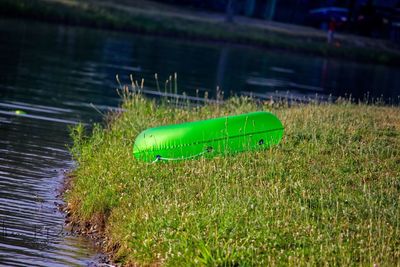 Green toy on a lake