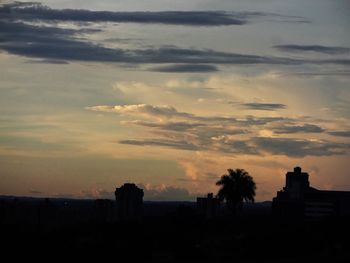 Silhouette of trees at sunset