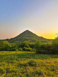 Scenic view of field against sky during sunset