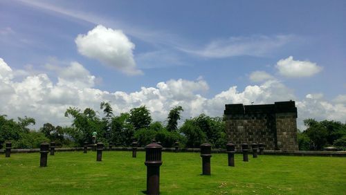 Trees on grassy field against cloudy sky