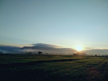 Scenic view of field against sky during sunrise