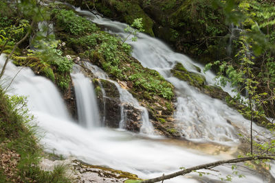 View of waterfall in forest