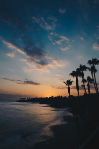 Silhouette of trees at sunset