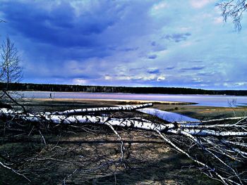 Scenic view of field against sky during winter