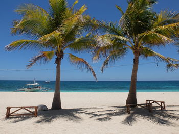 Palm trees on beach against sky